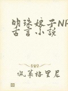 明珠娘子NPC古言小说