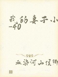 我的妻子小谨1-40
