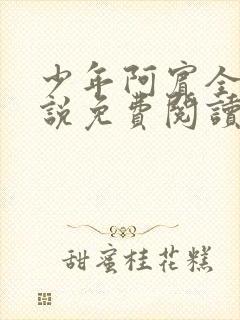 少年阿宾全文小说免费阅读笔趣阁