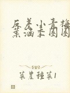 反差小青梅不经叶涵季园园