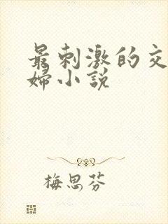 最刺激的交换夫妇小说