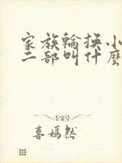 家族轮换小说第二部叫什么名字