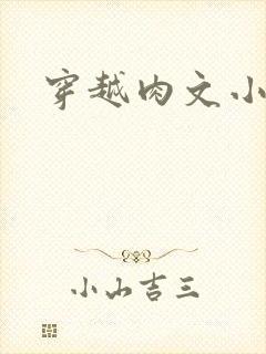 穿越肉文小说