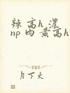 辣 高h 浓 np 肉 黄高h