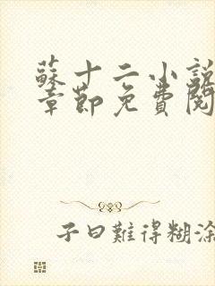 苏十二小说最新章节免费阅读全文