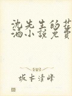 沈先生的花式调酒小说免费阅读