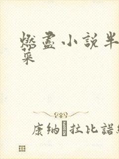 燃尽小说半截白菜