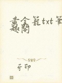 黄金笼txt笔趣阁