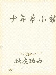 少年梦小说