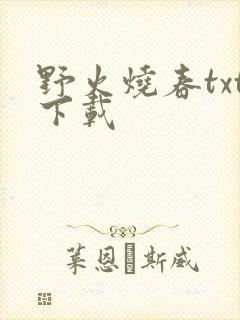 野火烧春txt下载
