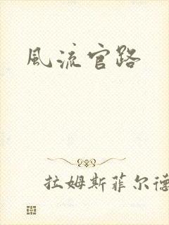 风流官路