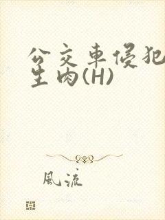 公交车侵犯小男生肉(H)