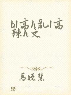 bl高h乱l高辣h文