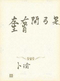 左右开弓是什么生肖