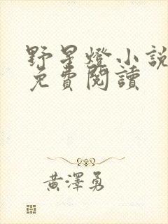 野星灯小说全文免费阅读