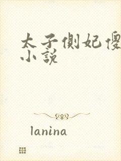 太子侧妃傻乎乎小说