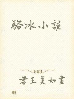 骆冰小说