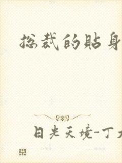 总裁的贴身女佣