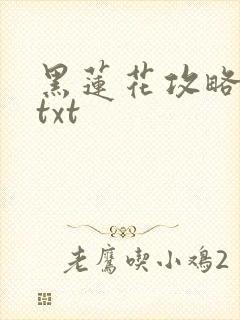 黑莲花攻略手册txt