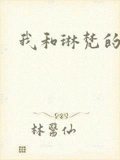 我和琳梵的故事