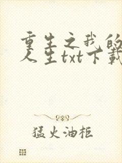 重生之我的书记人生txt下载