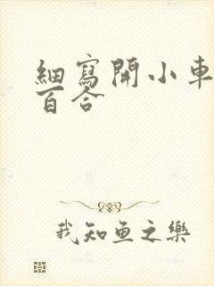 细写开小车车的百合