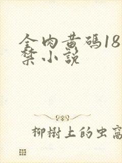 全肉黄码18无禁小说