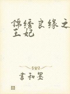 锦绣良缘之北地王妃