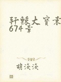 轩辕大宝袁雪妃674章