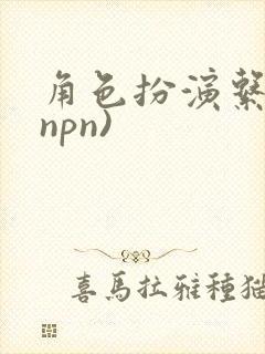 角色扮演系统(npn)
