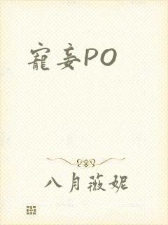 宠妾PO
