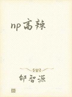 np高辣
