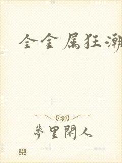 全金属狂潮小说