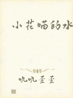 小花喵的水蜜桃