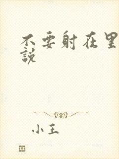 不要射在里面小说