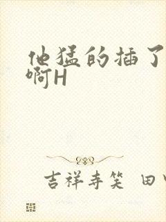 他猛的插了进去啊H