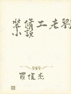 装修工老刘林雪小说