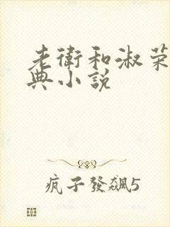 老卫和淑荣的经典小说