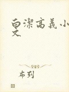 白洁高义小说全文