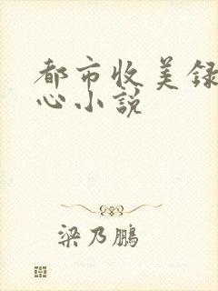 都市收美录宁素心小说