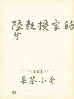 陆教授家的小月牙