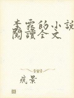 李霖的小说免费阅读全文