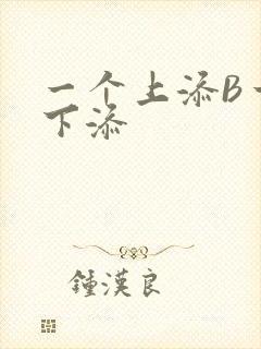 一个上添B一个下添