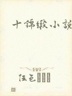 十锦缎小说