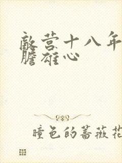 敌营十八年2虎胆雄心