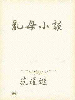 乱母小说