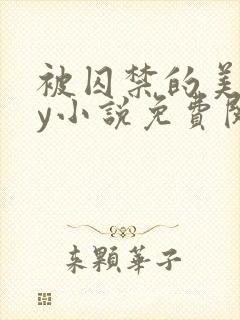 被囚禁的美人by小说免费阅读