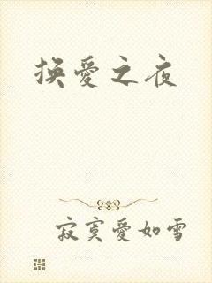 换爱之夜
