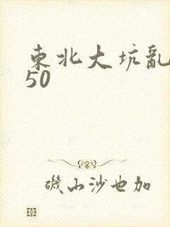 东北大坑乱1—50