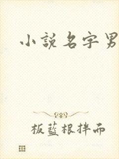 小说名字男生
